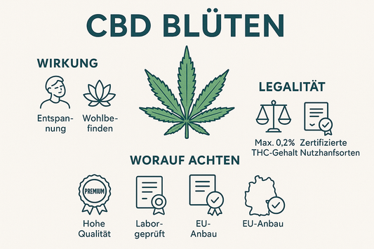 CBD Blüten – Wirkung, Legalität und worauf du achten solltest